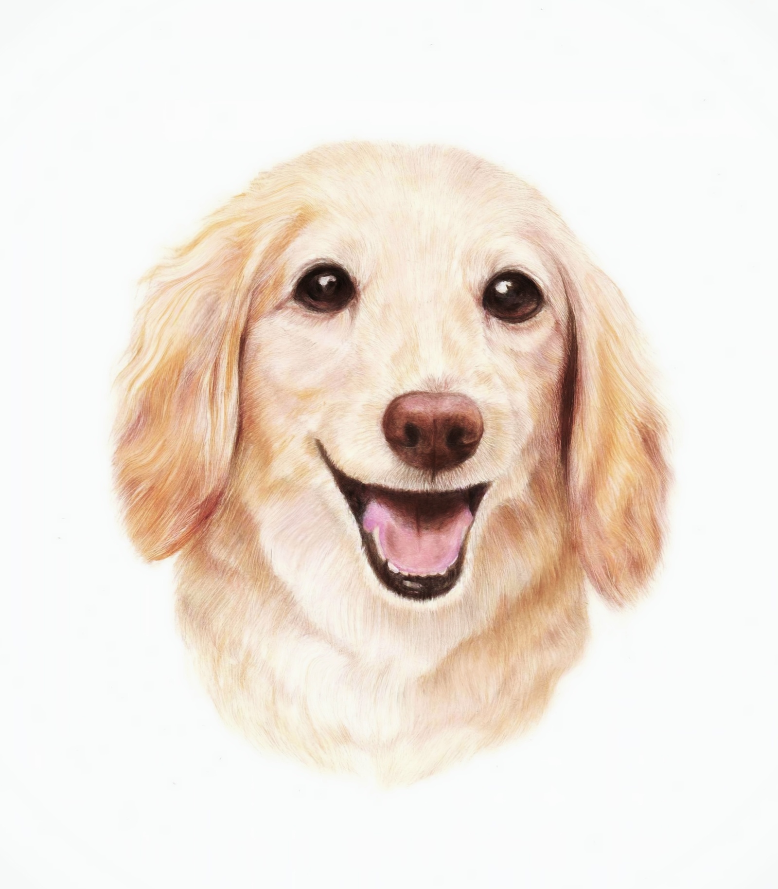 d083696a15e6272eb5b923b3af749c