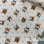 112×50★麻の葉にわんちゃん柄★アイボリー