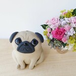 パグの一輪挿し（花器・置物）