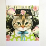 ポストカード 3枚組　スコティッシュフォールド　まるちゃんと金魚