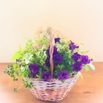 🍷ワイン色のペチュニアと可愛いお花の寄せ植えバスケット　贈り物にも*