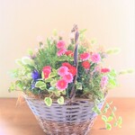 ❁ピンクのマーガレットと可愛いお花の寄せ植えバスケット　贈り物にも*