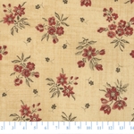 moda 31626-17