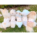 再販×3【新作】はち はちさん キャミソール 犬服 ハンドメイド