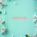 palちゃん専用オーダー品