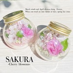 SAKURA【関山と染井吉野】受注製作