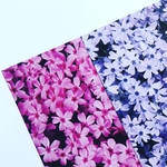 オリジナル　デザインペーパー　芝桜　A4 2色セット