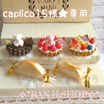 caplico15様★専用　ミニチュア