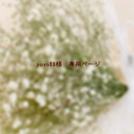 ＊poyo88様　専用ページ＊