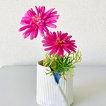 楕円花瓶