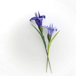 折り紙　菖蒲　《端午の節句　こどもの日》
