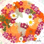 ♡new♡  ♡可愛い押し花セット♡ ♡たくさん入って使いやすい押し花セット♡