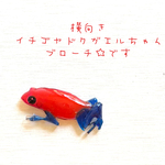 イチゴヤドクガエル☆ブローチ☆
