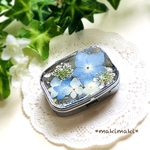淡い紫陽花の押し花ピルケース♡ピアスケース♡小物入れ