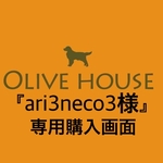 【ari3neco3様専用】アゲハ蝶のUピン 