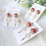 【4/23(金)20時～】Cantabile Rose.｡.:✽・ﾟ(上)