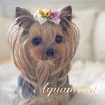 【 犬用💐🍀バレッタ 】 おしゃれ　トップノットペット　子供　ヘアアクセサリー　リボン　バレッタ　♡AquaMana♡