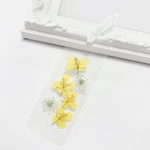 【押し花しおり】両面かわいいクリアタイプ(菜の花・レースフラワー)