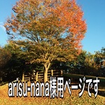 arisu-nana様用ご確認ページです