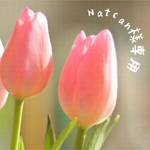Natcan様専用 