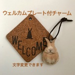 【文字変更可】ウェルカムプレート付バッグチャーム うさぎ 羊毛フェルト ネザーランドドワーフ ミニうさぎ オレンジ 