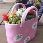 ピンク色が可愛いバッグに多肉植物 寄せ植え