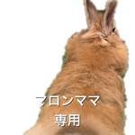 マロンママ専用✨