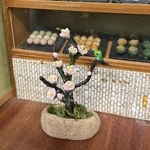 春を告げる花 梅 と メジロ 薄ピンク