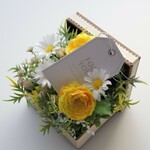 【母の日ギフト】　　フラワーギフト　お花畑　デージー