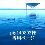 pig140802様専用ページ