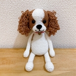 ami-inu キャバリア