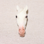 白毛のサラブレッド【いつものお顔、たてがみ右分け】