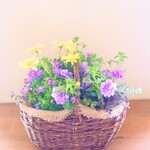 ❁サフィニアとオステオの寄せ植えバスケット　母の日にも*