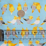 《３０ｃｍ×１５０ｃｍ》　カットクロス　オカメインコ＊小鳥（ブルー)　シーチング生地　綿　コットン　春　かわいい　いんこ