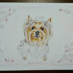 【kuu080420様オーダー品】愛犬イラスト