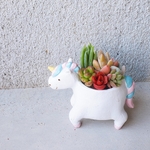 🆕ゆめかわいいユニコーン🦄サボテンor多肉植物の寄せ植え
