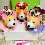 再販🐶大人気😊母の日♥️カーネーション💐コーギーちゃん🐶