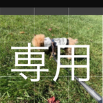 専用 6枚 4cmup