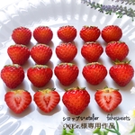MEe.様専用作品　苺ピアス