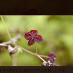 09091489008様専用ページ