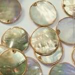 ：2pcs： import  shell plate 〈M〉