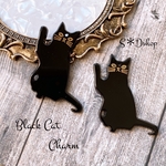PY-2   4個⭐︎ブラックキャットアクリルチャーム