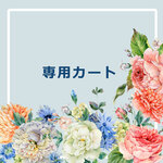専用カート！