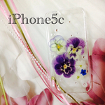 クリアランス‼︎現品限り 押し花iPhoneケースpetit5c