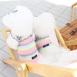 ★ALQEEN★犬服　レインボーシャツ　大型犬対応可能