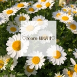roaro様専用ページ♡