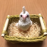 ryotan22さま専用♡オカメインコちゃん（アルビノ、赤目）