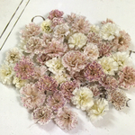 かすみ草　ドライフラワー　pink beige mix