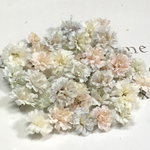 かすみ草　ドライフラワー　pail pastel