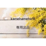 kamehameha様✳︎専用出品